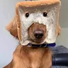 kj_prv