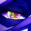 paul_gooty