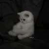 حساب للبيع