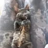 catcuties18