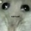 samadelreyy