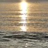 shootingstars_08