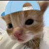 aishh846