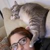 my_cats_shenanigans