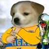 felix_flores14