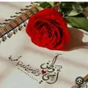 nouralhussein129