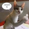 an.chjin