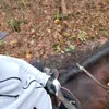 horse_riding_lovely