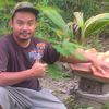 didutklanceng