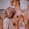 hamdanshehatajuba