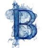 bubil91