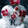 riyazshakir786