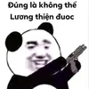 9000vn2