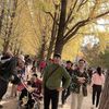 hungkorea8
