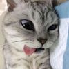 lufiraaz_