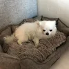 saint_wolsyyy