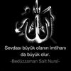 nur19834