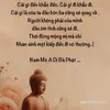 van.s.ty.duyn70