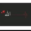 dyv6aybdnc4g