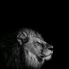 biruk.tesfaye14