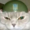 belka_shuzoid