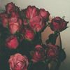 abeer114221