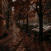 _eorxl14