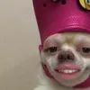 madisonmant0