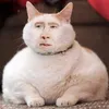 joe.fish1