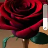 momenmukhtar0