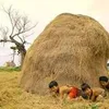 truong.viet