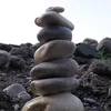 sendero_salvaje