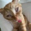 puspaaaaqq
