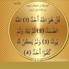 user4628323960601