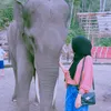 nurhalimah9883