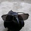shades_n_shambles