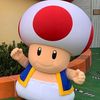 thechonkytoad