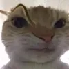 vylh3