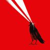 lidar_crow
