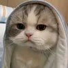 xh_hajin.17