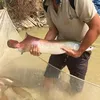 Hải Tượng Long SG