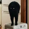 rswdesu