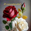 user5541018266273