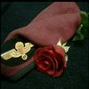 santhy.jh