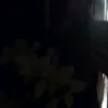 skdmwl