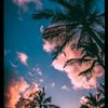 matias_123_123