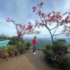 nguoimientay_6868