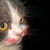 dinnyy.q