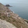 hylmnliaa