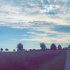 danieladaccone722